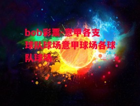 bob彩票-意甲各支球队球场意甲球场各球队球场